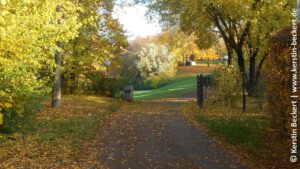 Ein Weg, der durch eine Baumallee führt. Das Bild strahlt Herbststimmung aus, man sieht bunte Blätter auf beiden Seiten des Weges.