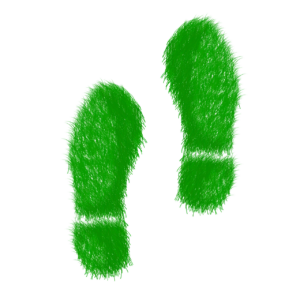 Grasgrüne Fußabdrücke auf weißem Hintergrund.