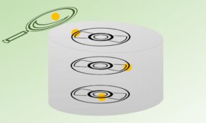 Schematische Powerpoint-Grafik: Ein grauer, transparenter Zylinder vor grünem Hintergrund, darin angedeutet drei schwarze Festplatten in CD-Form, übereinander gelagert. Auf jeder ein orangefarbener Punkt. Oben links eine grüne Lupe, die nach diesen orangefarbenen Punkten sucht.