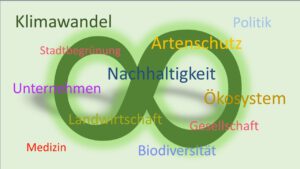 Ein großes, grünes Unendlichkeitssymbol, wie eine umgekippte Acht. Darum sind jene Bereiche platziert, in denen Nachhaltigkeit eine Rolle spielt: Klimawandel, Artenschutz, Biodiversität, Landwirtschaft, Medizin, Politik, Gesellschaft usw.